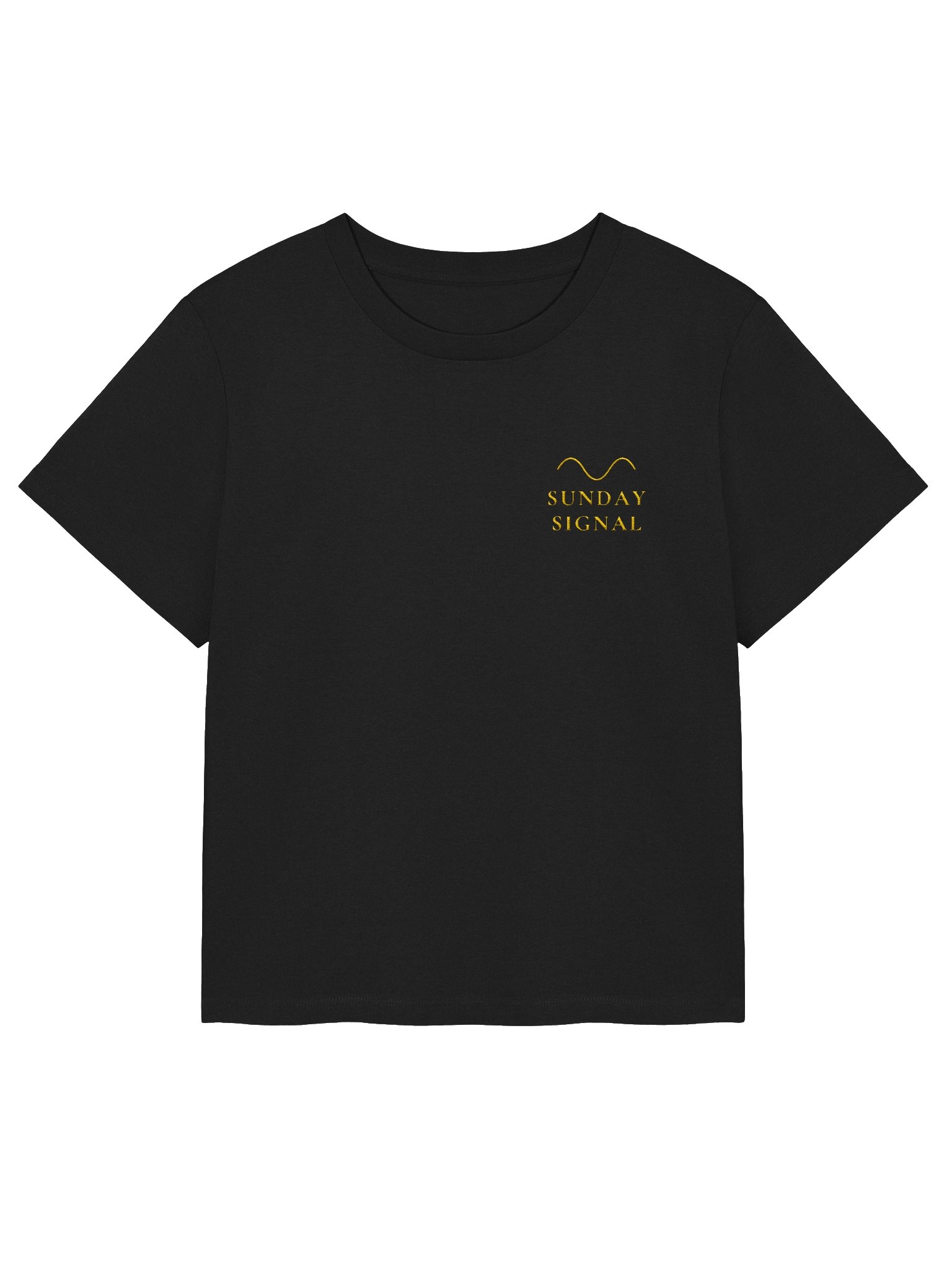 Embroidered t product image (1)