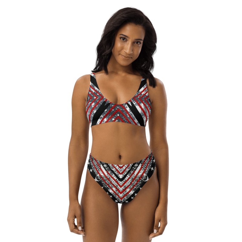 Black/Silver and Stripes Bikini product image (1)