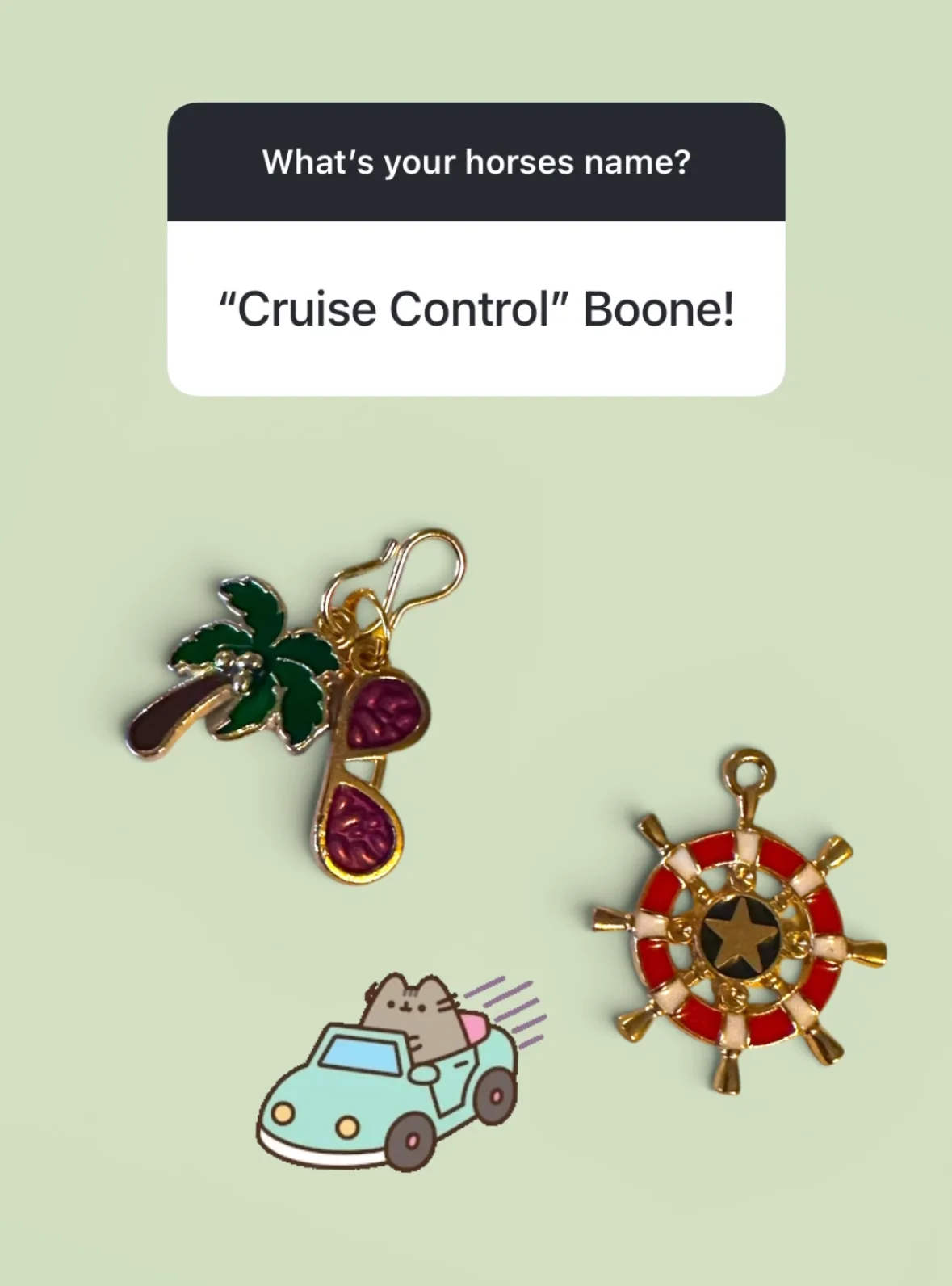 CUSTOM Whinny Winners Braid and Bridle Charms for Horses | Little Shop of Ponies product image (1)