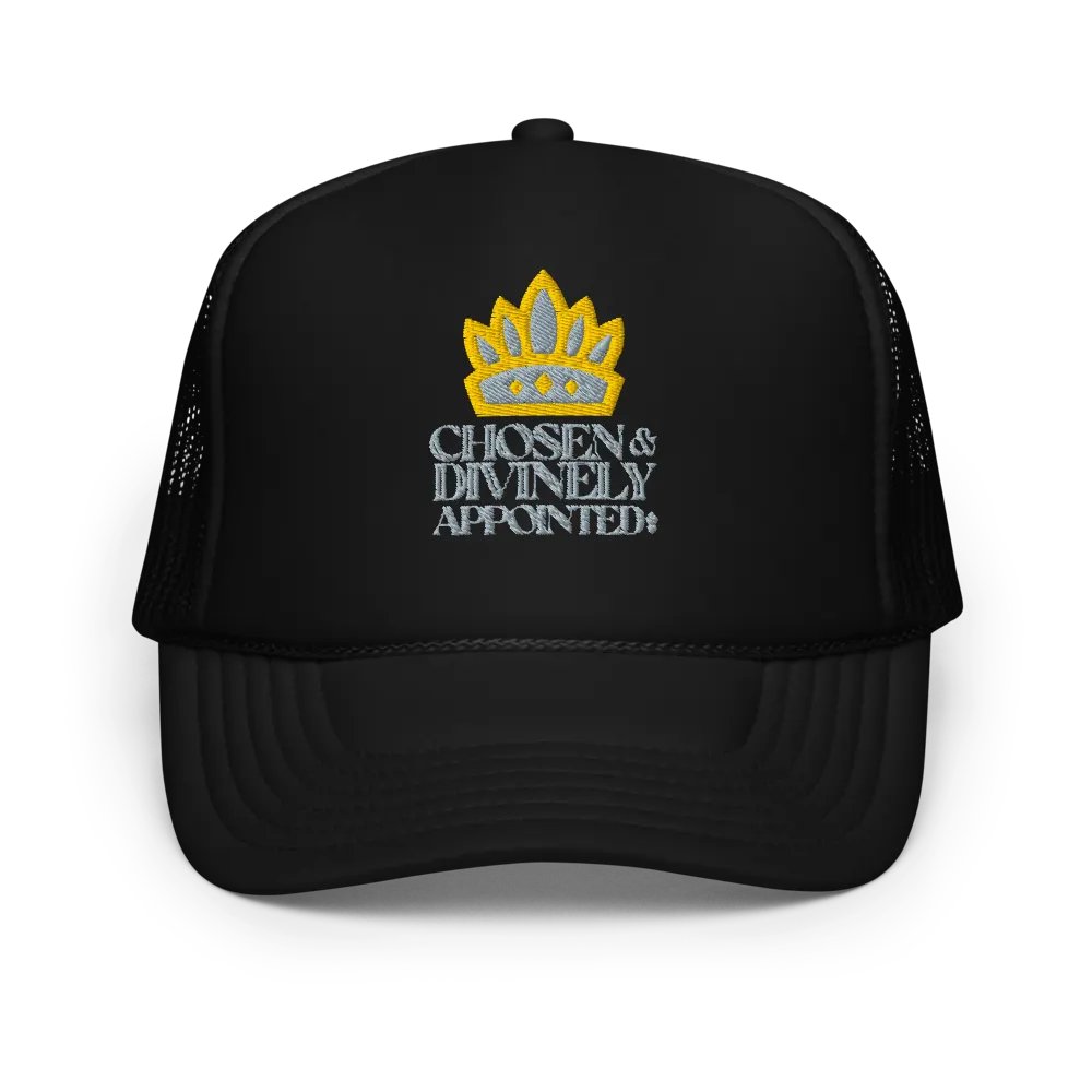 Chosen and Divinely Appointed product image (1)