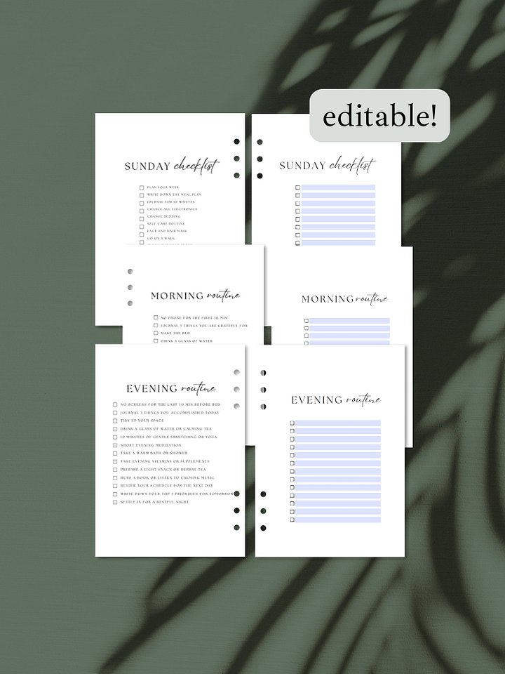 Customizable Sunday Reset, Morning, and Evening Routine Checklists | A5 Productivity Printable product image (1)