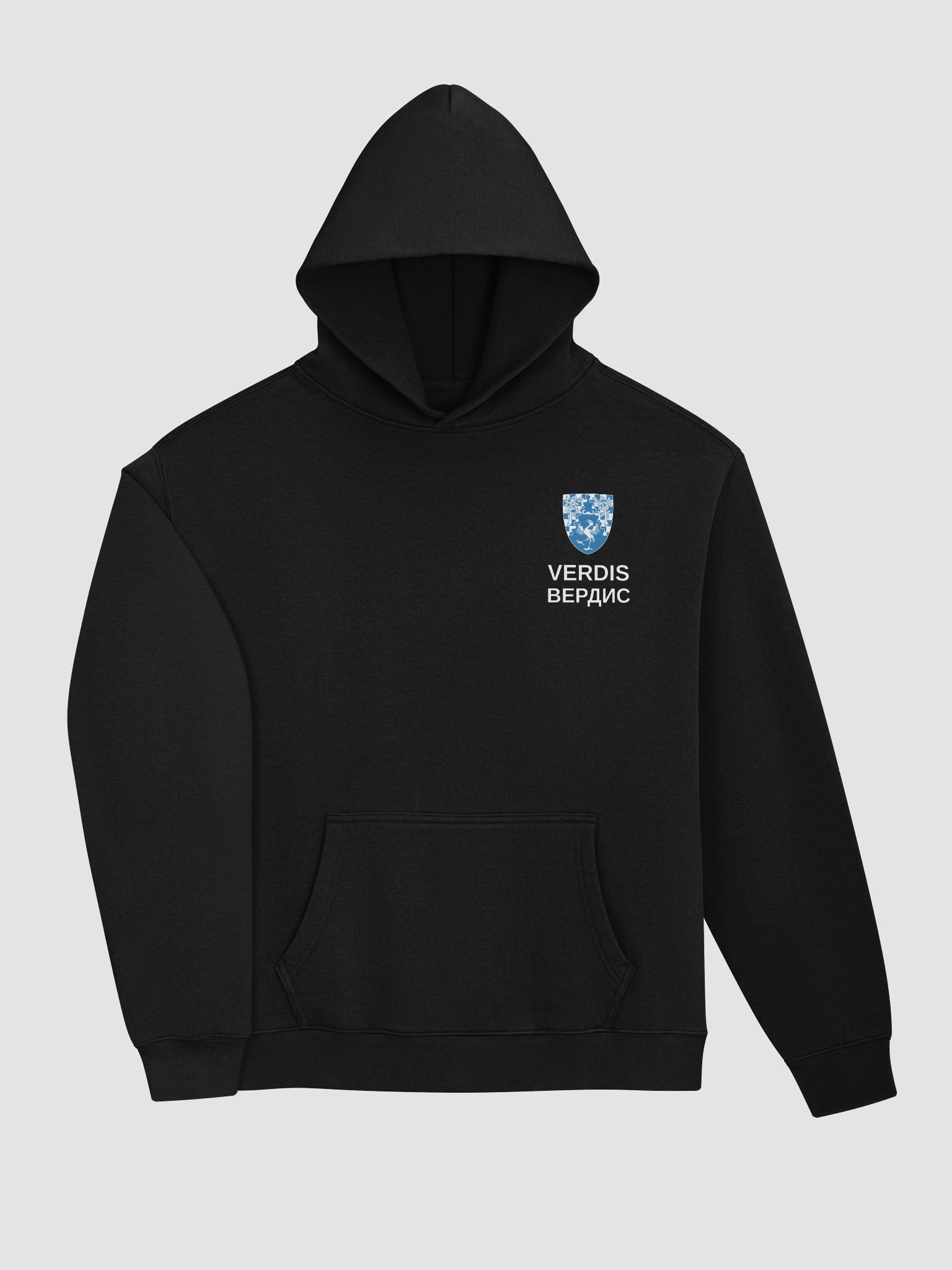 Coat of Arms Oversized Hoodie product image (3)