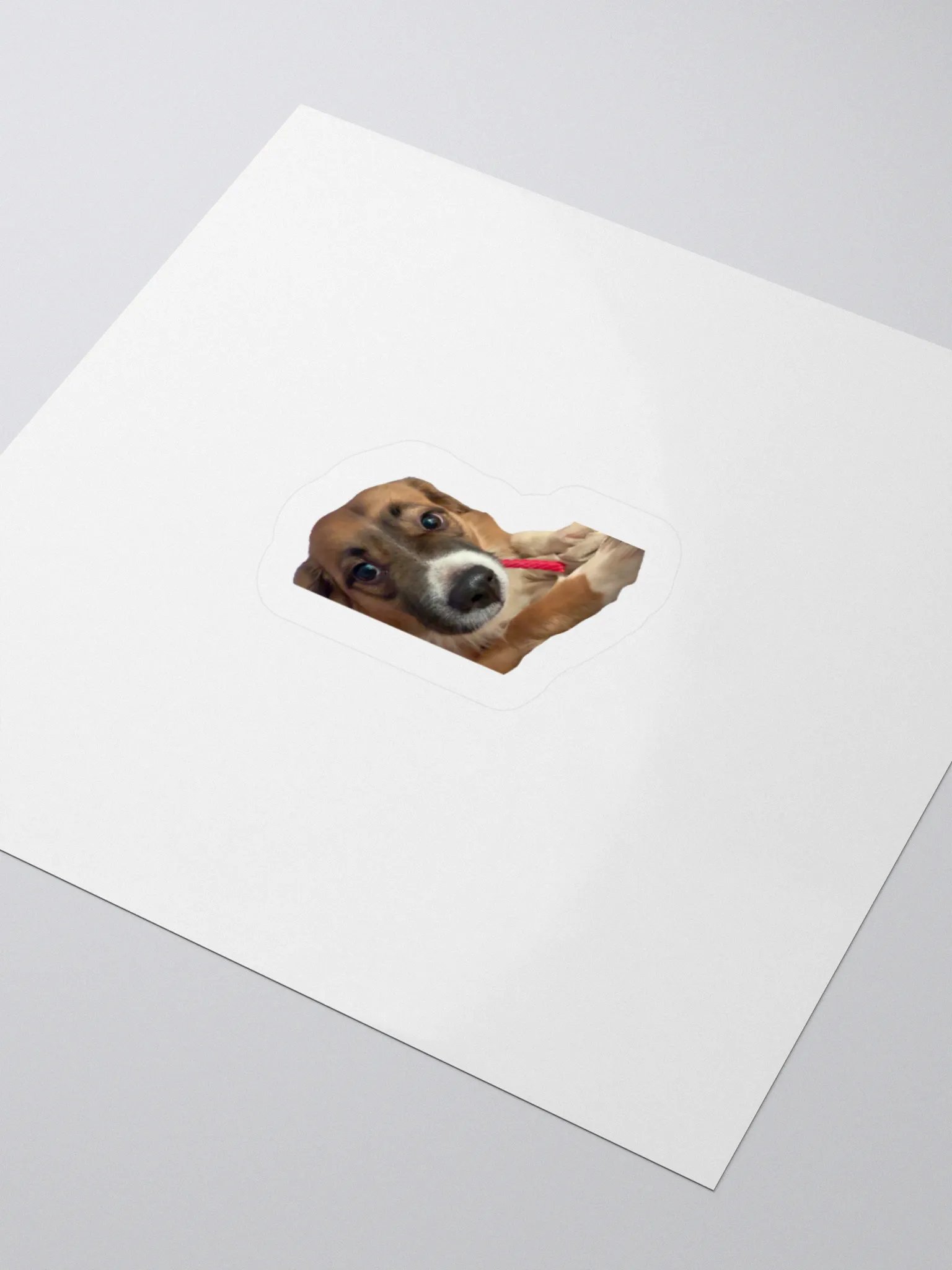Harry Stickers - Licorice product image (9)