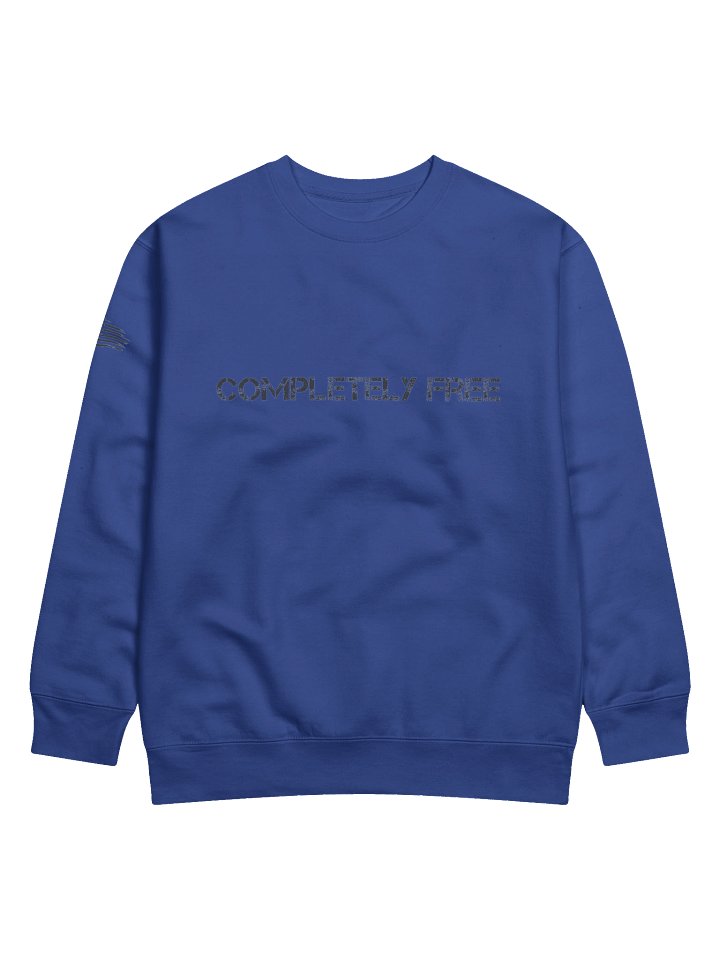Completely Free Sweatshirt W/ American Flag product image (1)