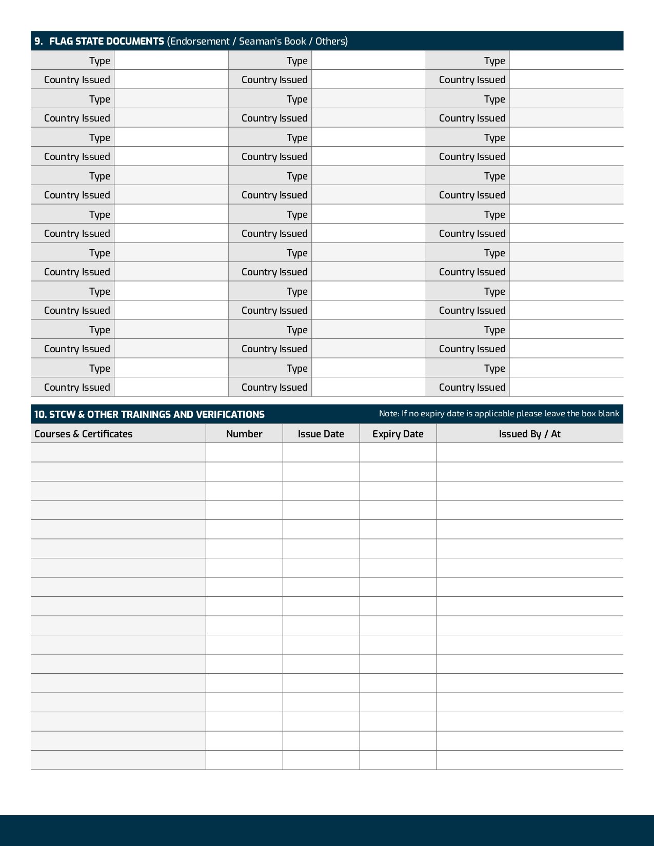 Professional Seafarer CV Template product image (3)