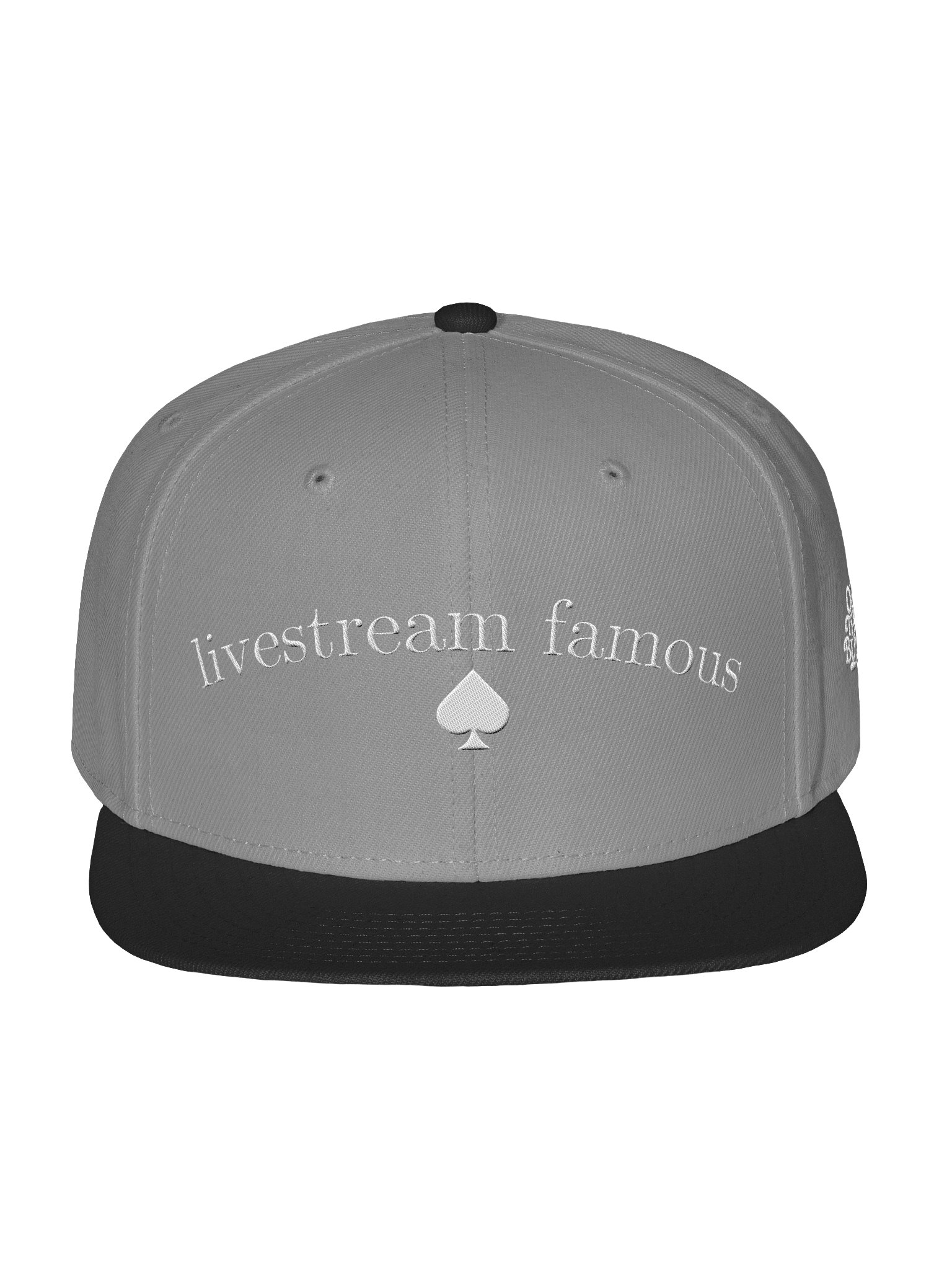 'Livestream Famous' Flatbill Hat product image (1)
