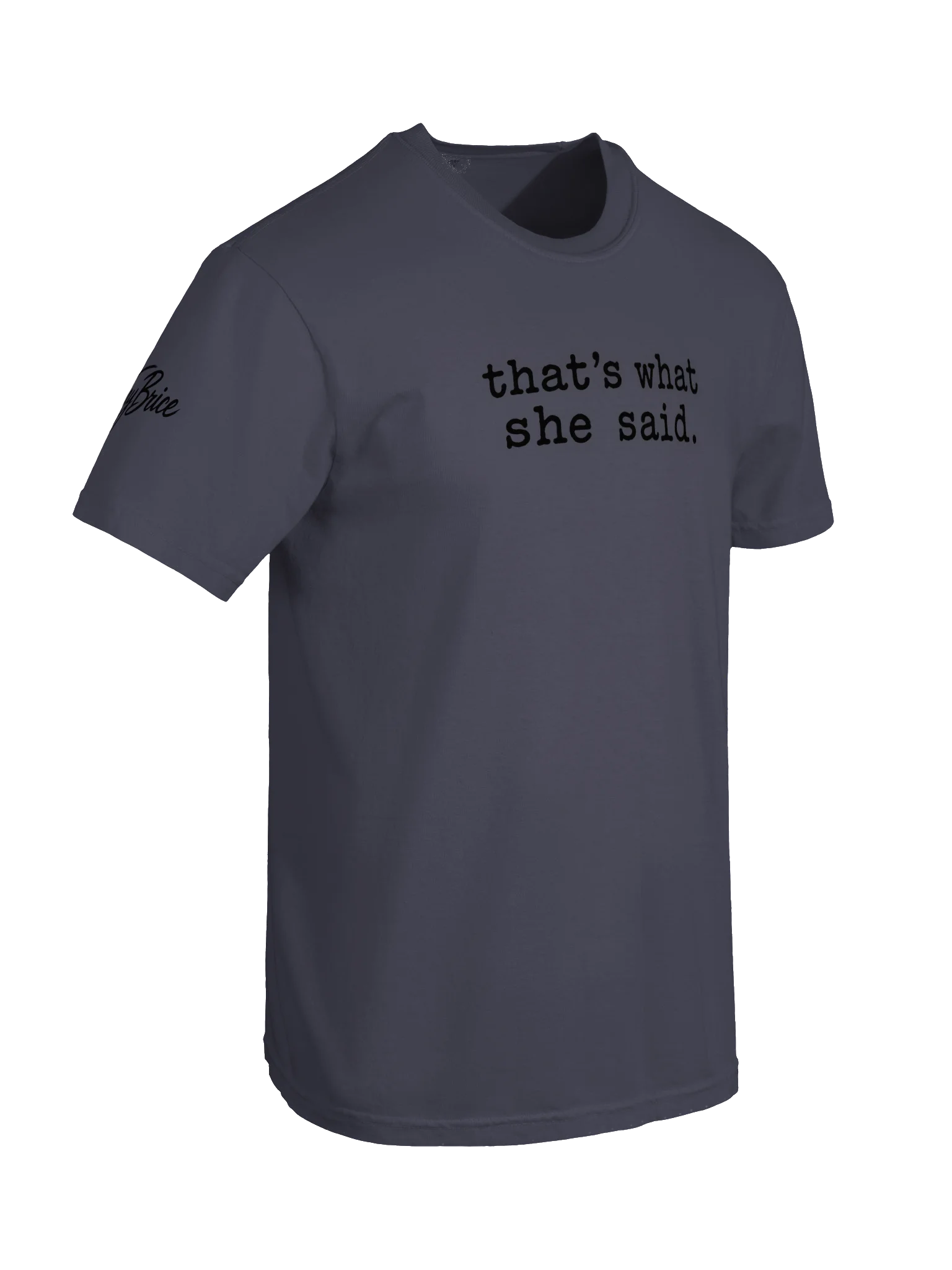 That’s What She Said T-Shirt(Unisex)(black ink) product image (58)