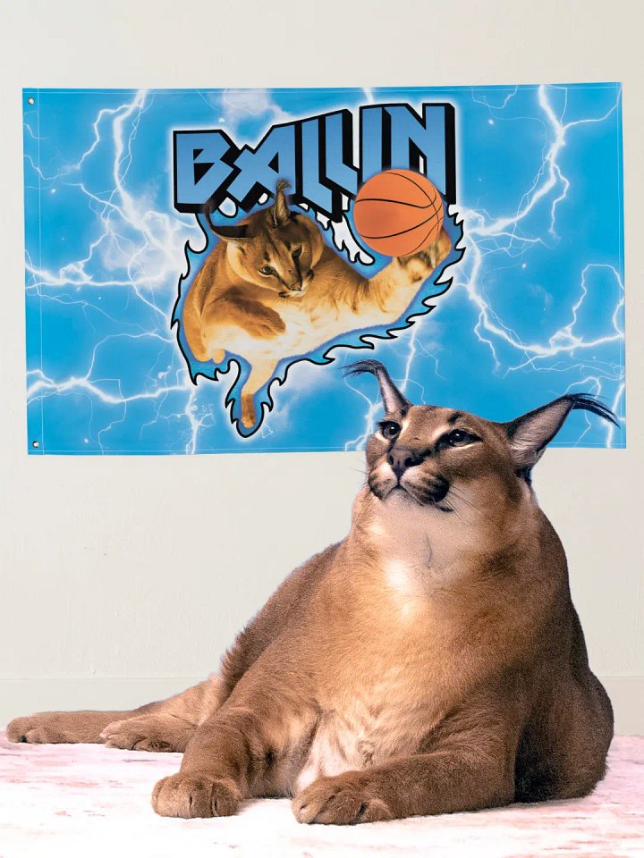 "BALLIN" BIG FLOPPA GOSHA'S FLAG product image (1)