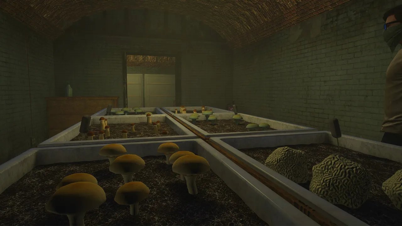 FiveM Script | Shrooms Cultivation [ QBCore / ESX / QBOX ] product image (2)