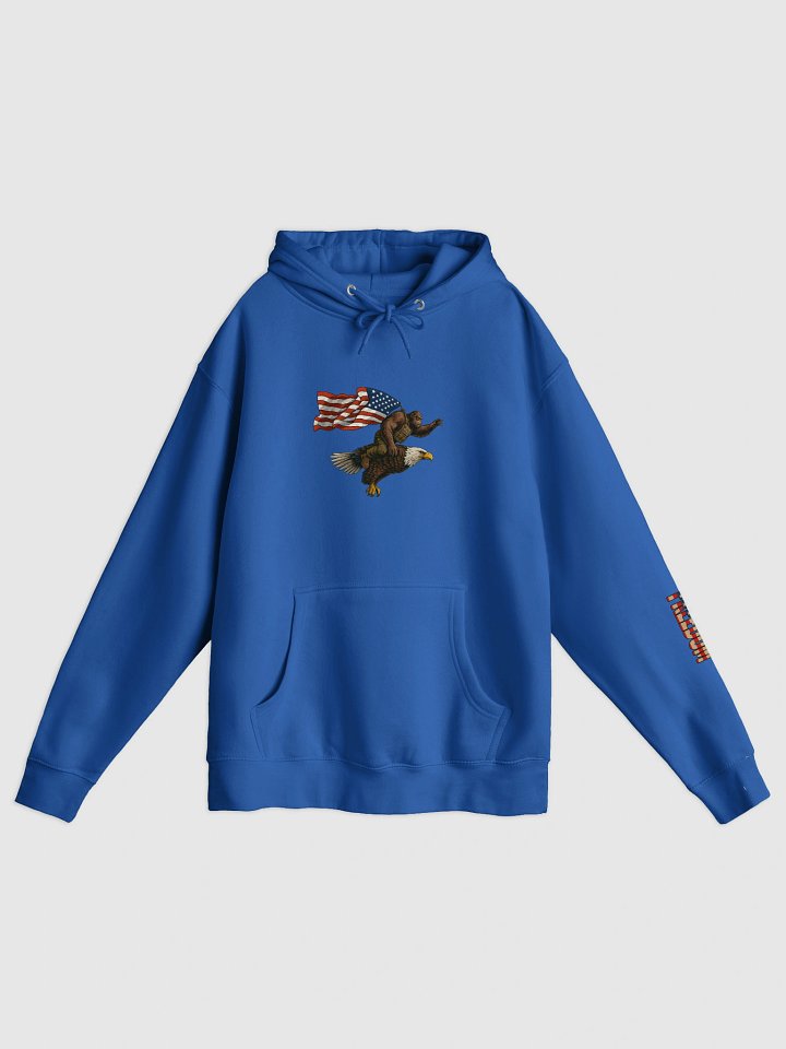 Freedom Flight Hoodie product image (1)