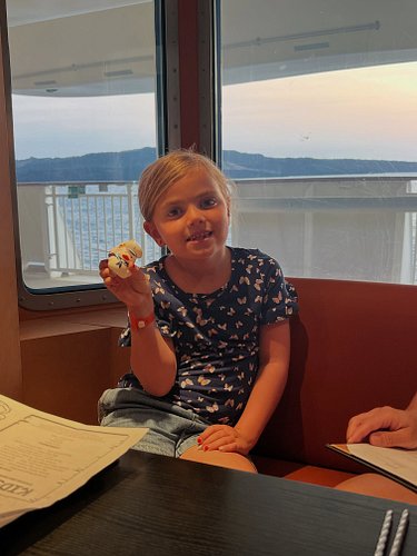 One of Cia’s favorite parts of cruising: ducks. 
.
.
.
#degenhartsducks found on the @norwegiancruiseline Pearl