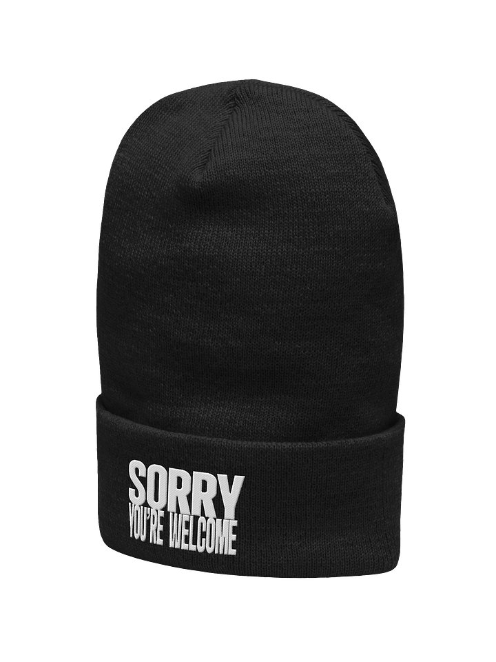Sorry, You're Welcome (Embroidered Beanie) product image (2)