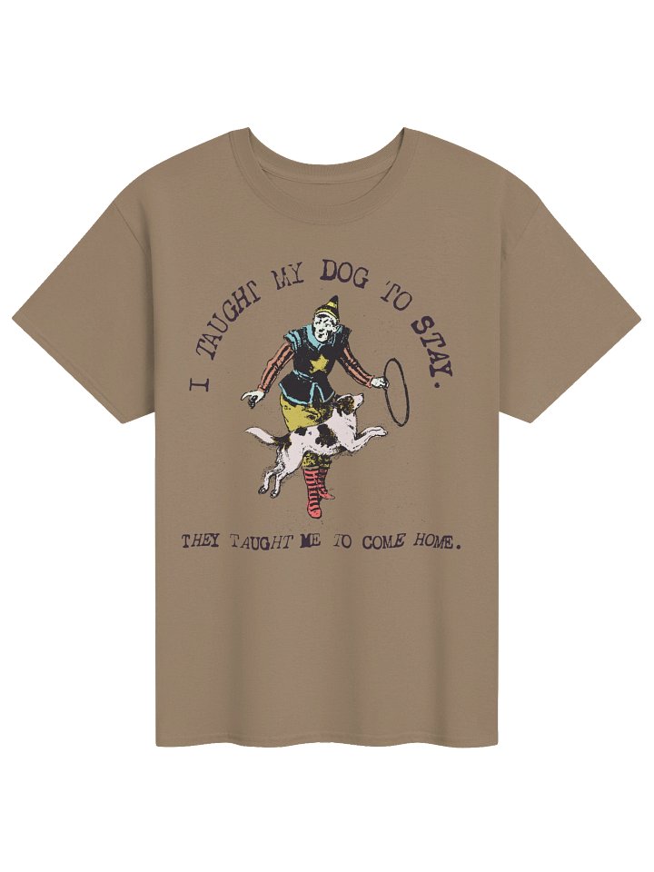 I Taught My Dog to Stay, They Taught Me to Come Home Vintage Dog Lover T-Shirt product image (8)