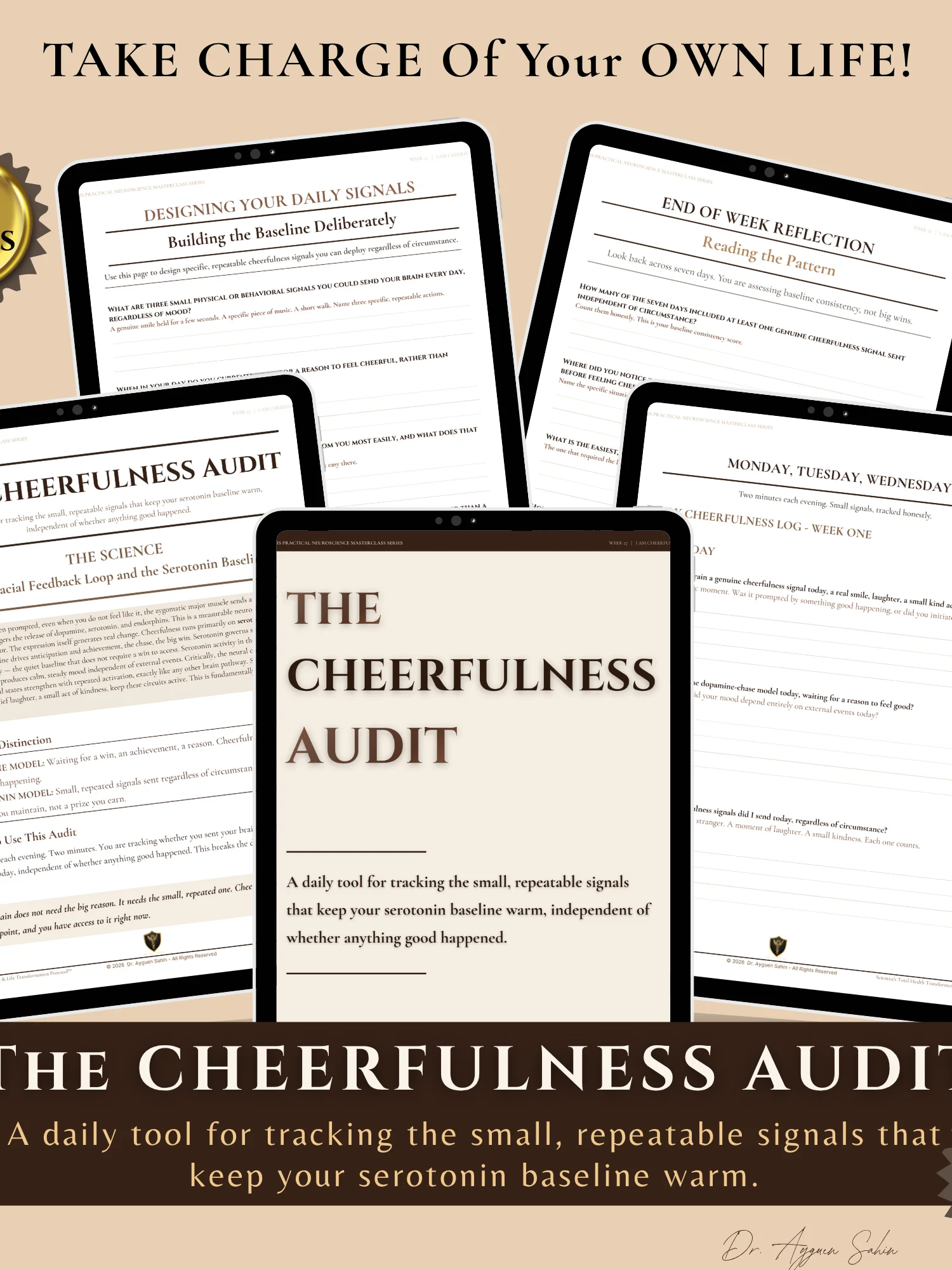 The CHEERFULNESS Audit product image (2)