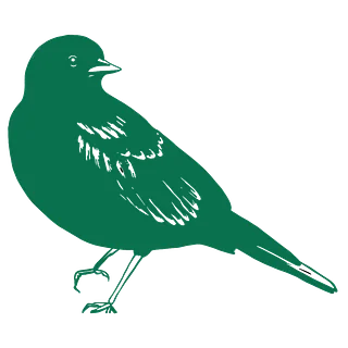 The Wandering Nightingale 