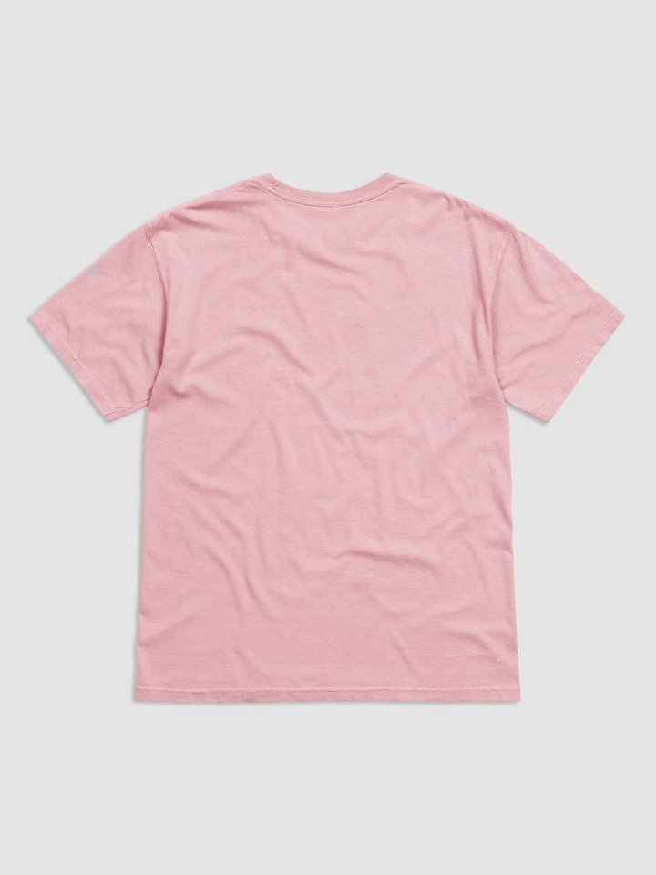 Golden Gate Park Raccoons Heavyweight T-Shirt product image (2)