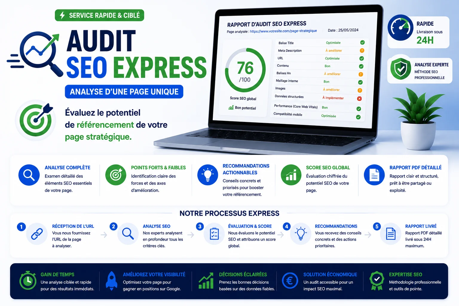 Audit SEO Express (Analyse d'une page unique) product image (1)