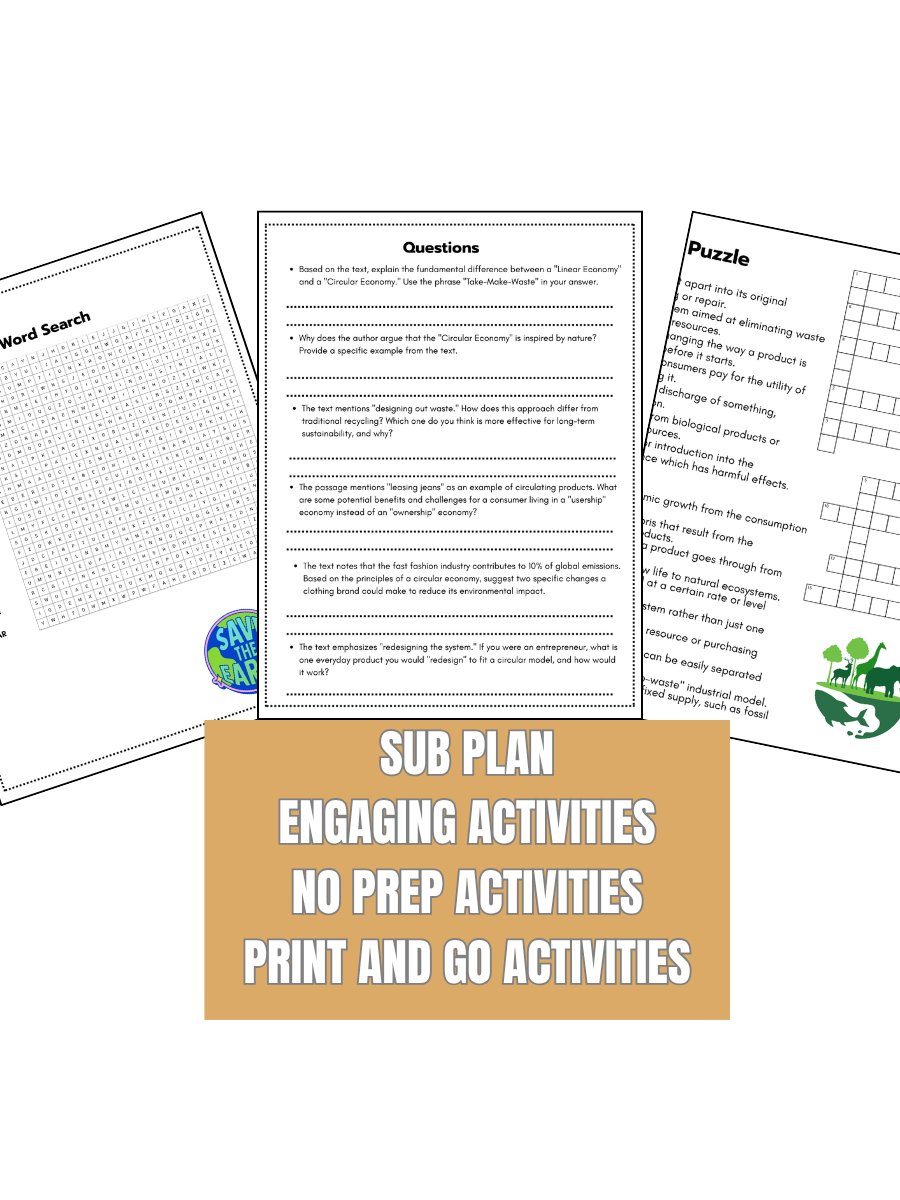 Earth Day Activity Pack Subwork High School 9th 10th 11th Grade product image (2)