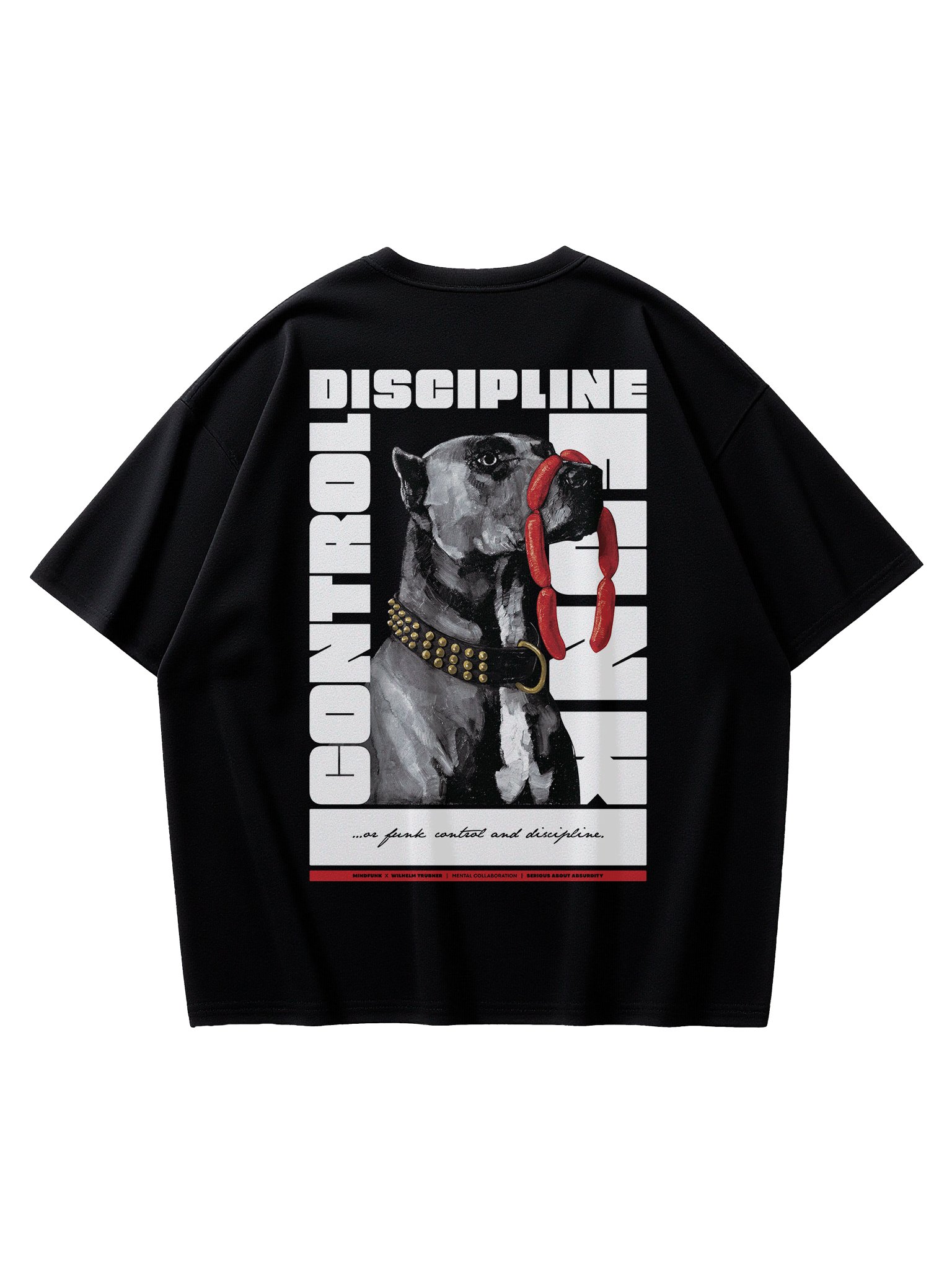 CONTROL, DISCIPLINE & FUNK product image (1)