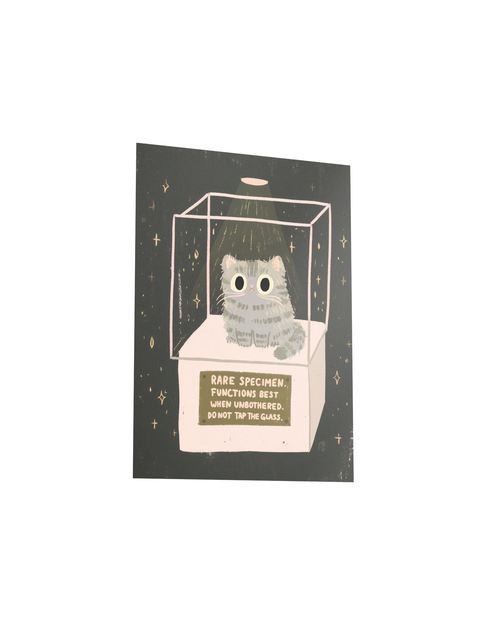 Rare Specimen Cat Poster product image (19)