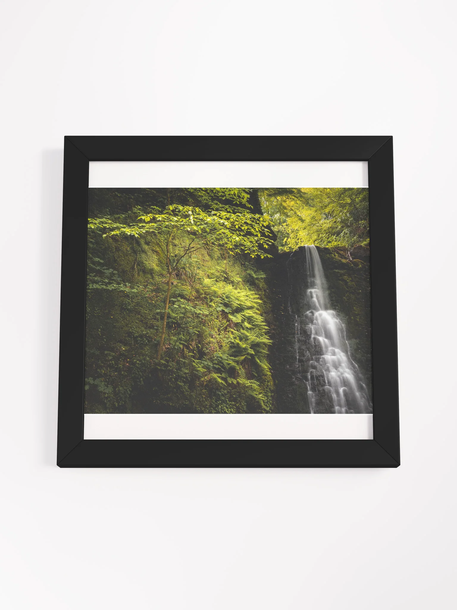 Falling Foss Sapling product image (15)