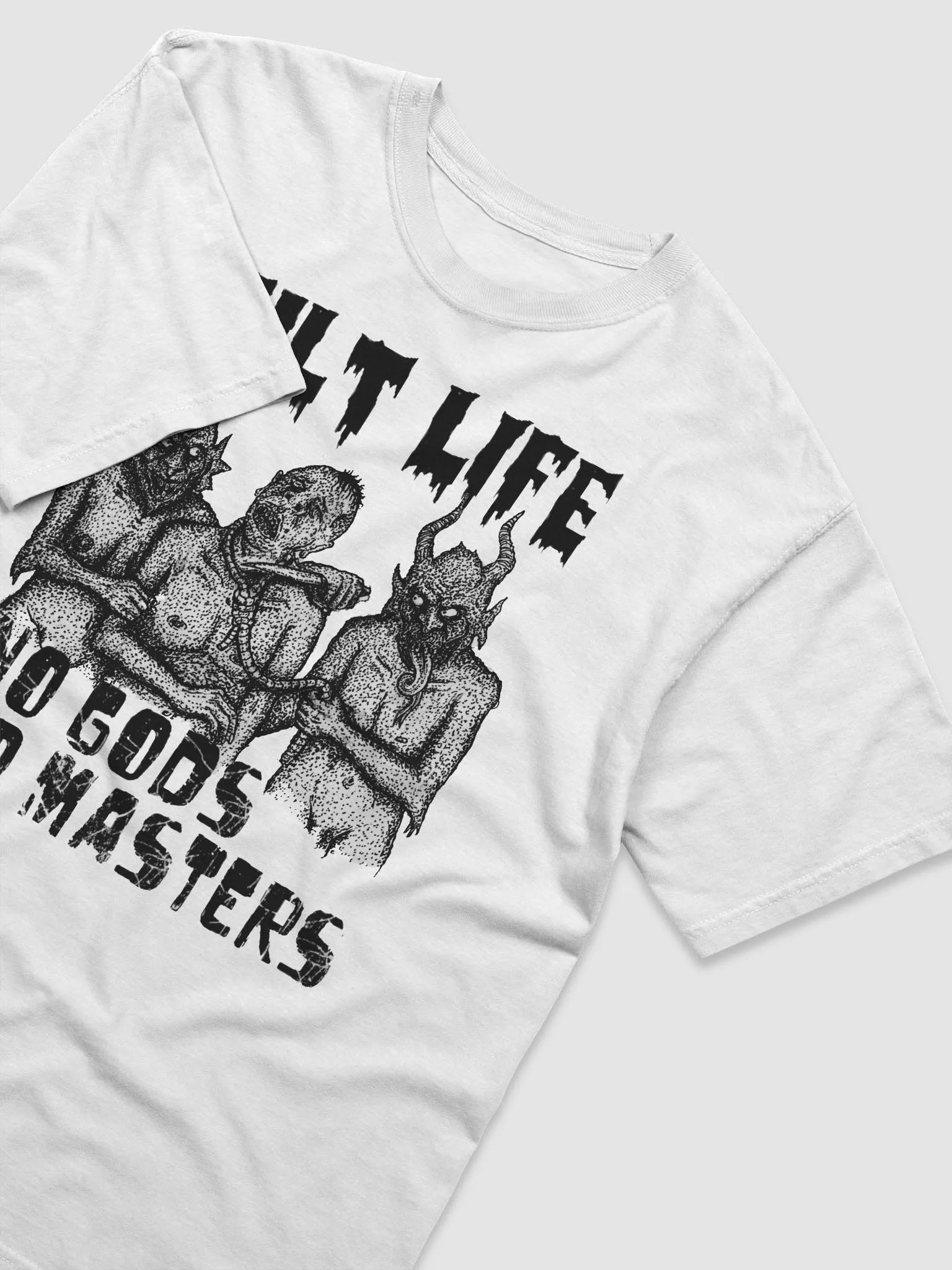 NO GODS NO MASTERS product image (3)