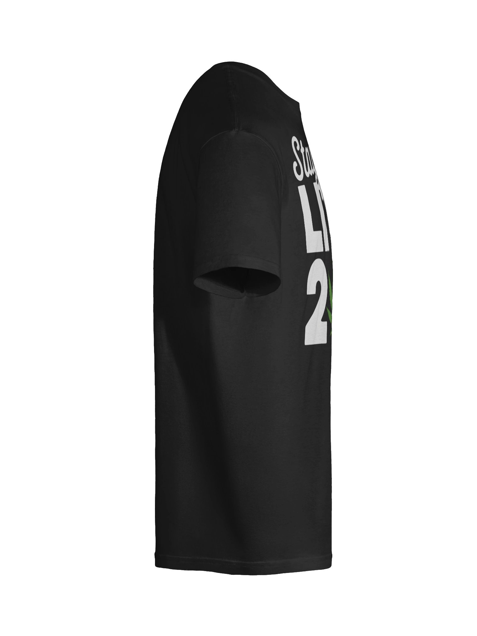 Staying Lit In 2026 Shirt product image (9)