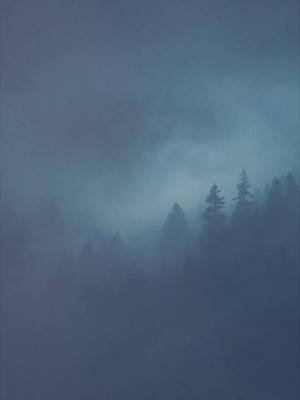 Manchmal ist der eigene Kopf der gefährlichste Ort. Doubt in the Fog. Am 9.10. erscheint die EP. #DoubtInTheFog #OGSchattenlicht #DerWanderer #NewMusic #EPRelease