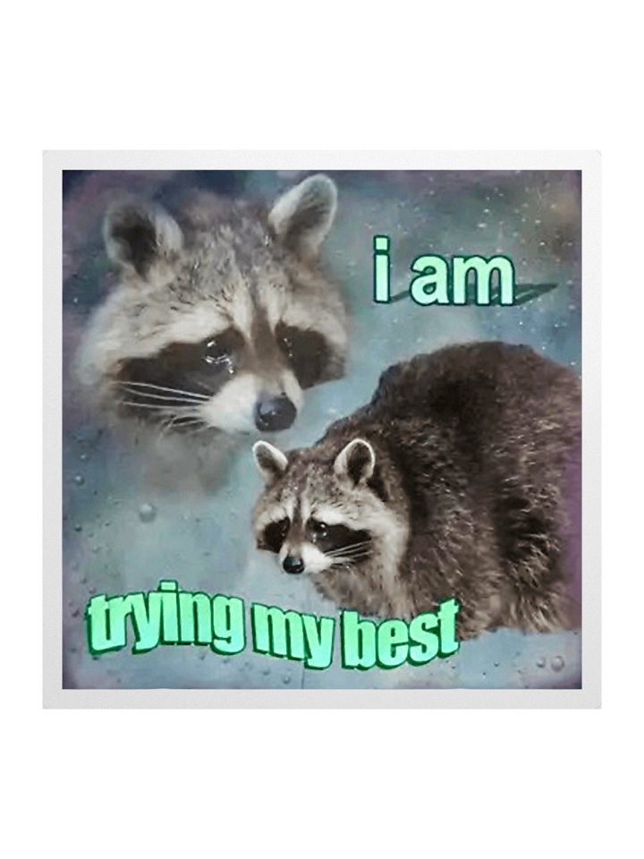I Am Trying My Best Sticker product image (1)