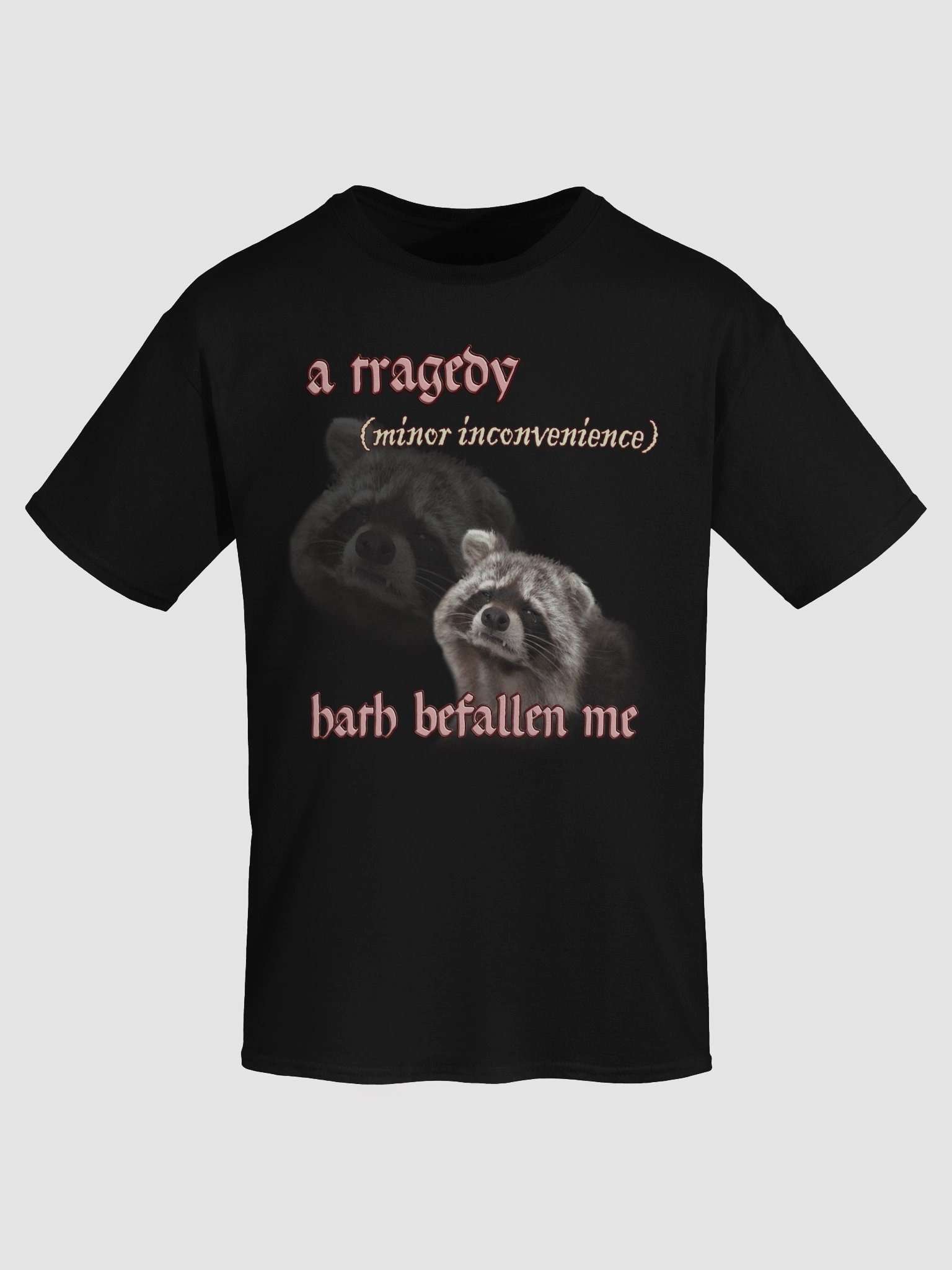 A Tragedy Hath Befallen Me T-Shirt product image (7)