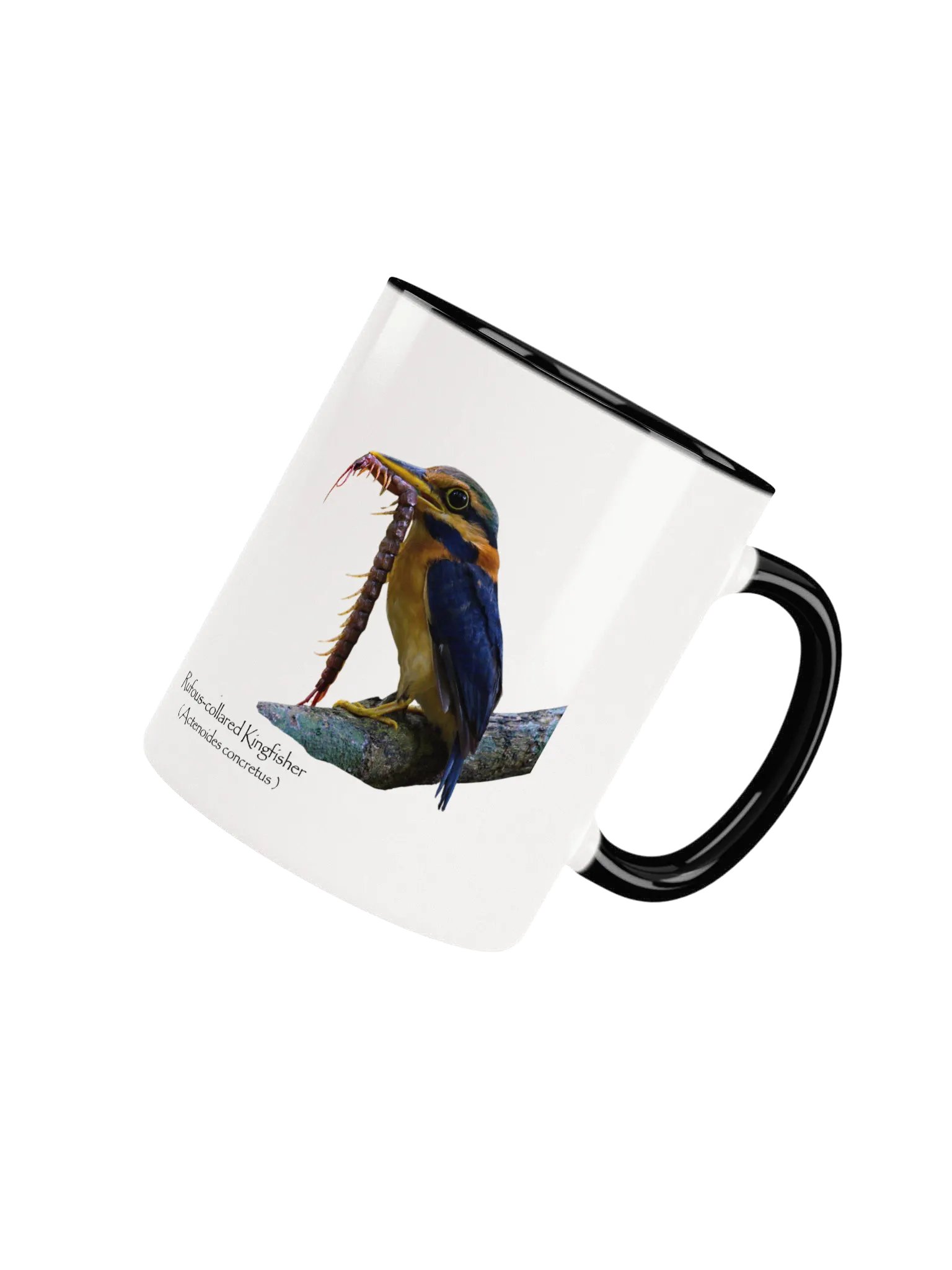 Rufous-collared Kingfisher mug product image (39)