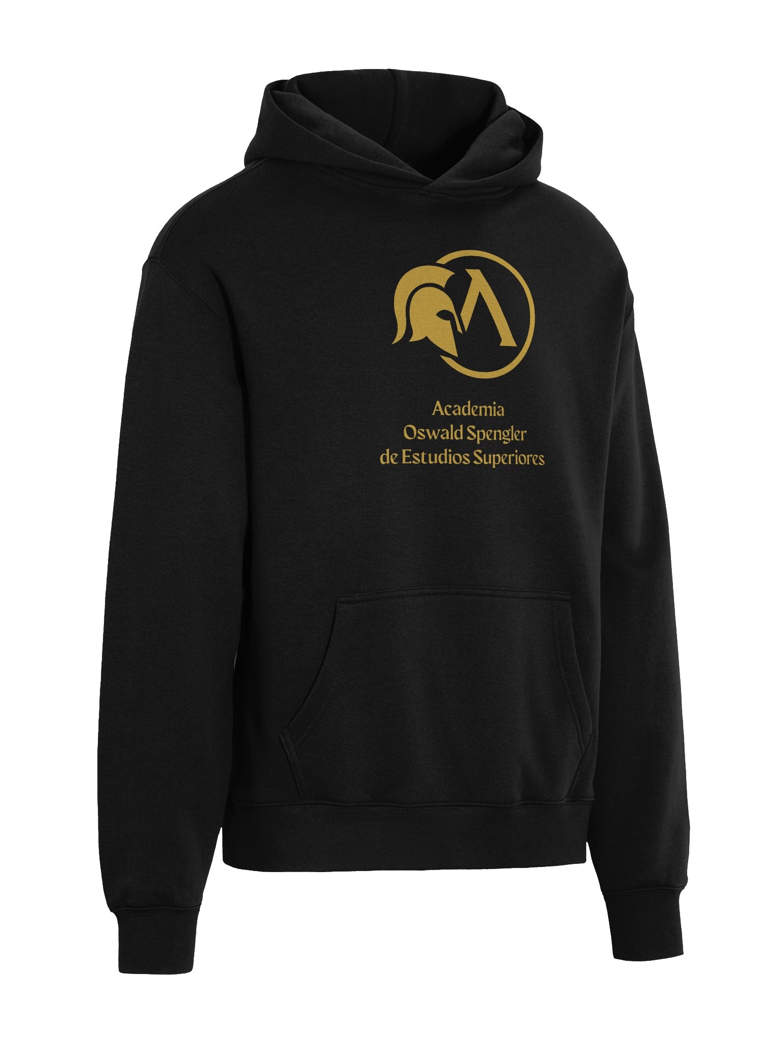 Sudadera premium Academia Oswald Spengler product image (12)