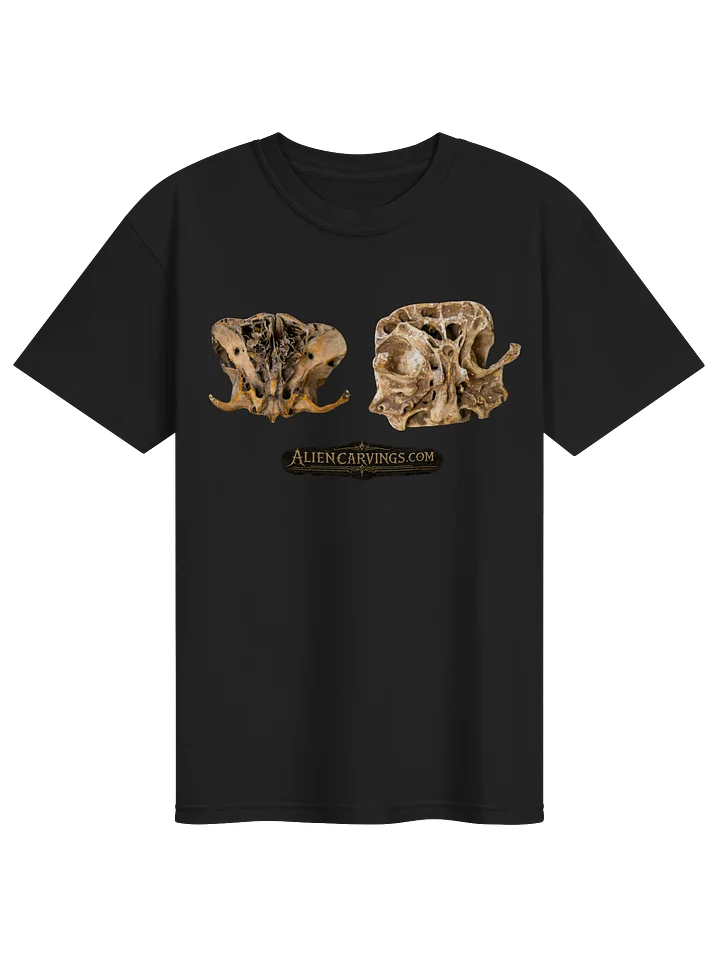 Nephilim Remains product image (1)