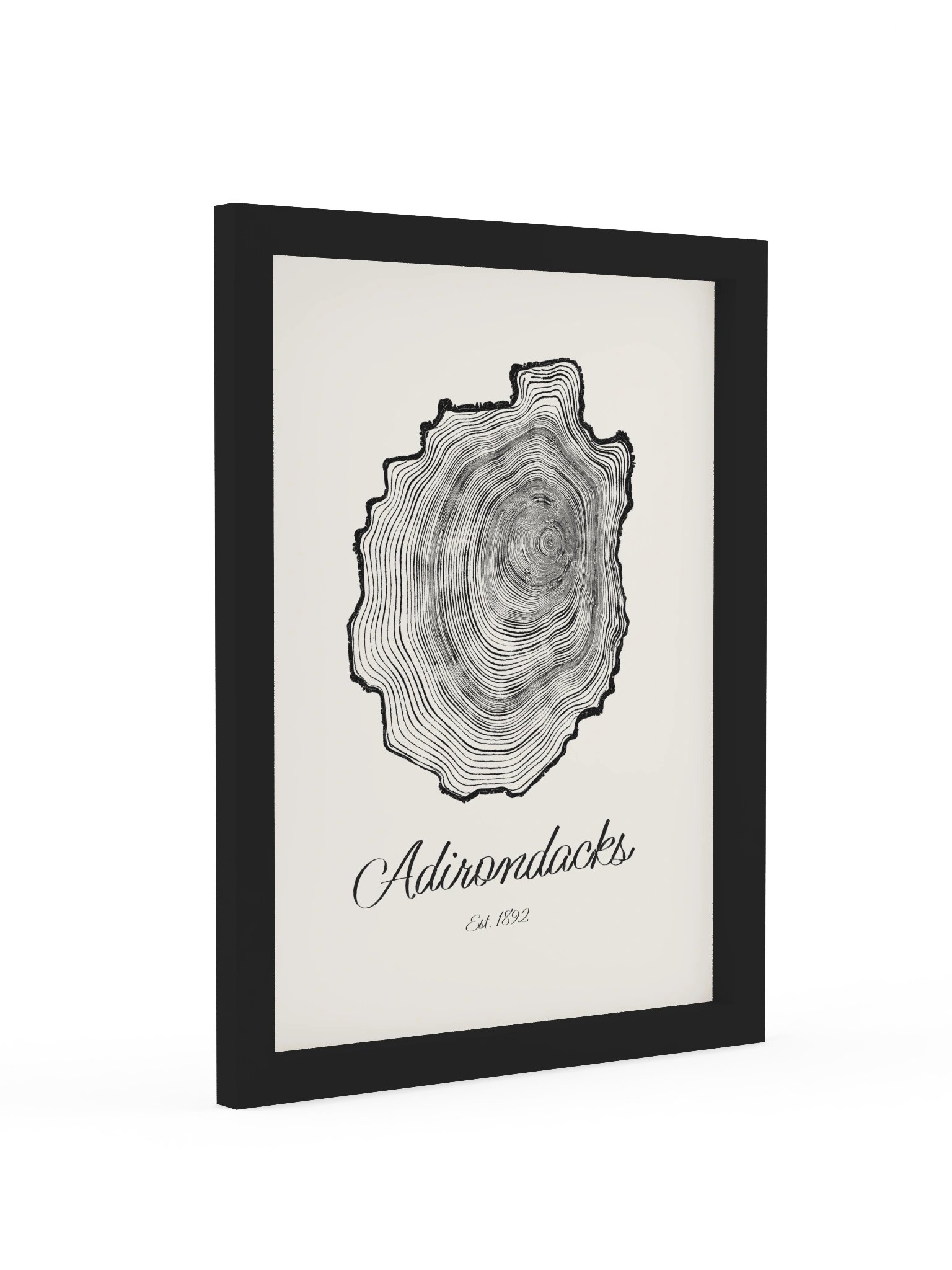 Adirondack Park Tree Ring Framed Print product image (8)