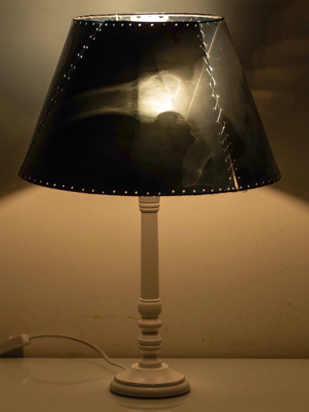 Pelvis Lamp product image (2)