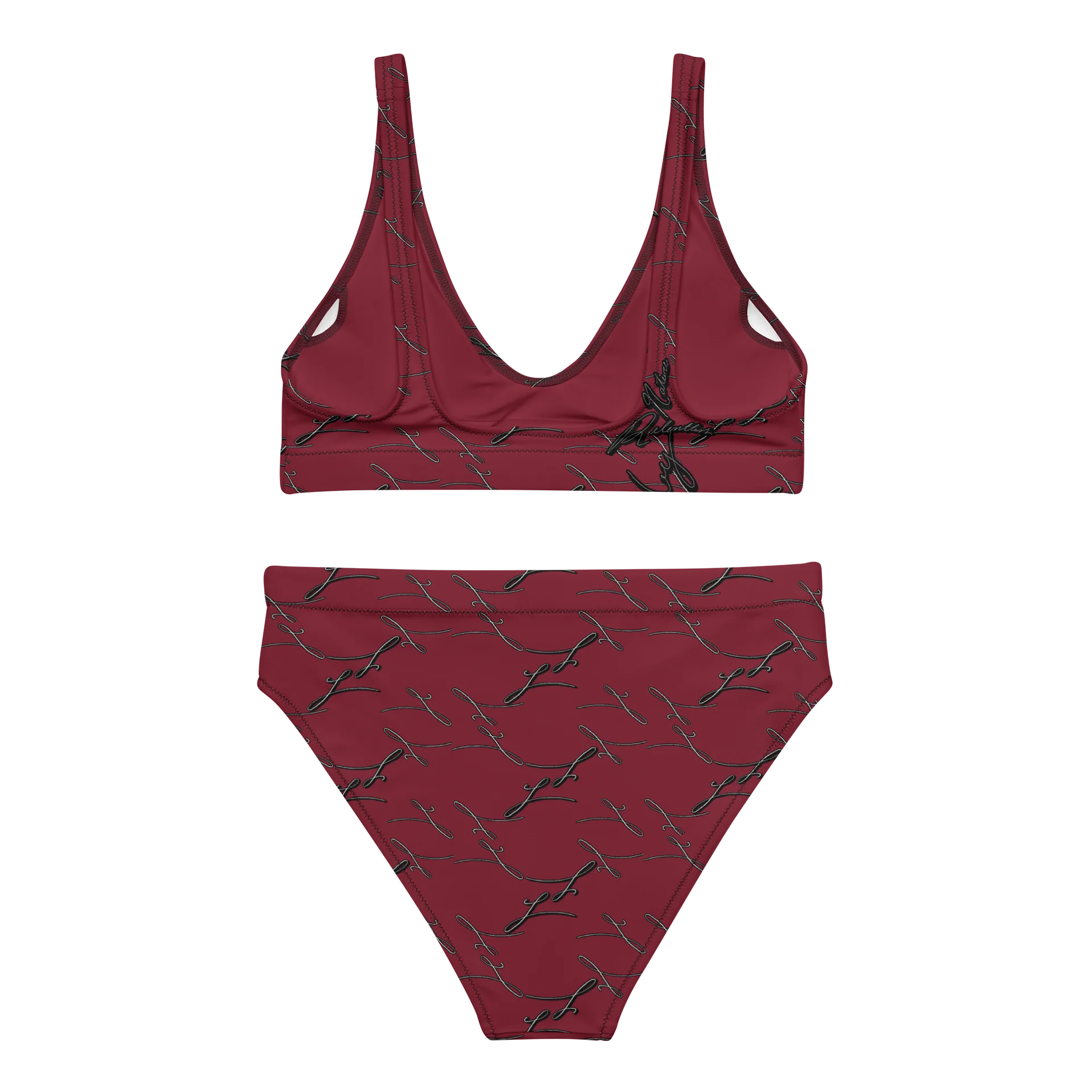 Toasted Merlot High-Waisted Bikini product image (3)