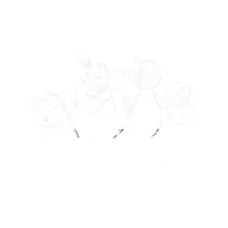napoleontoronto