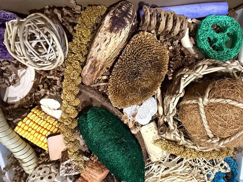 Busy Beaks Foraging Box product image (2)