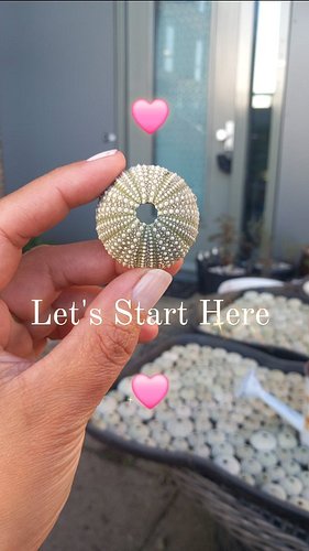 In desperate need to UNSTUCK your life? Let's start here! 🩷

Have you been trying to get your sh*t together for years? Well, ...