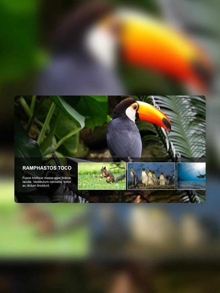 Stunning Image Carousels Animation product image (1)