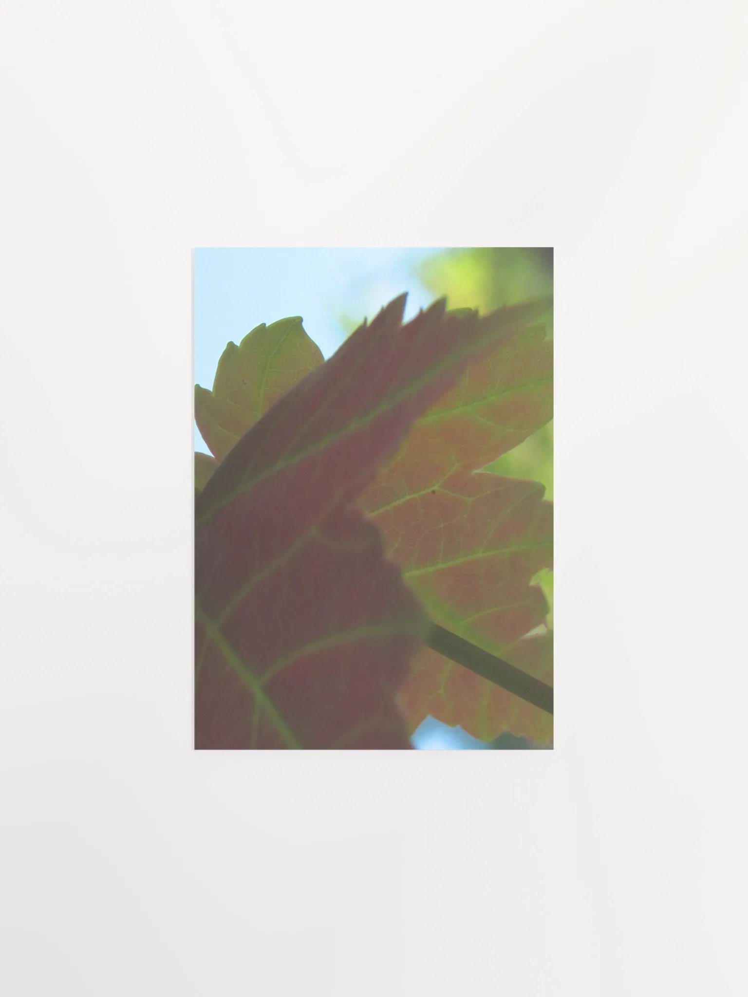 Leaf Close Up product image (1)