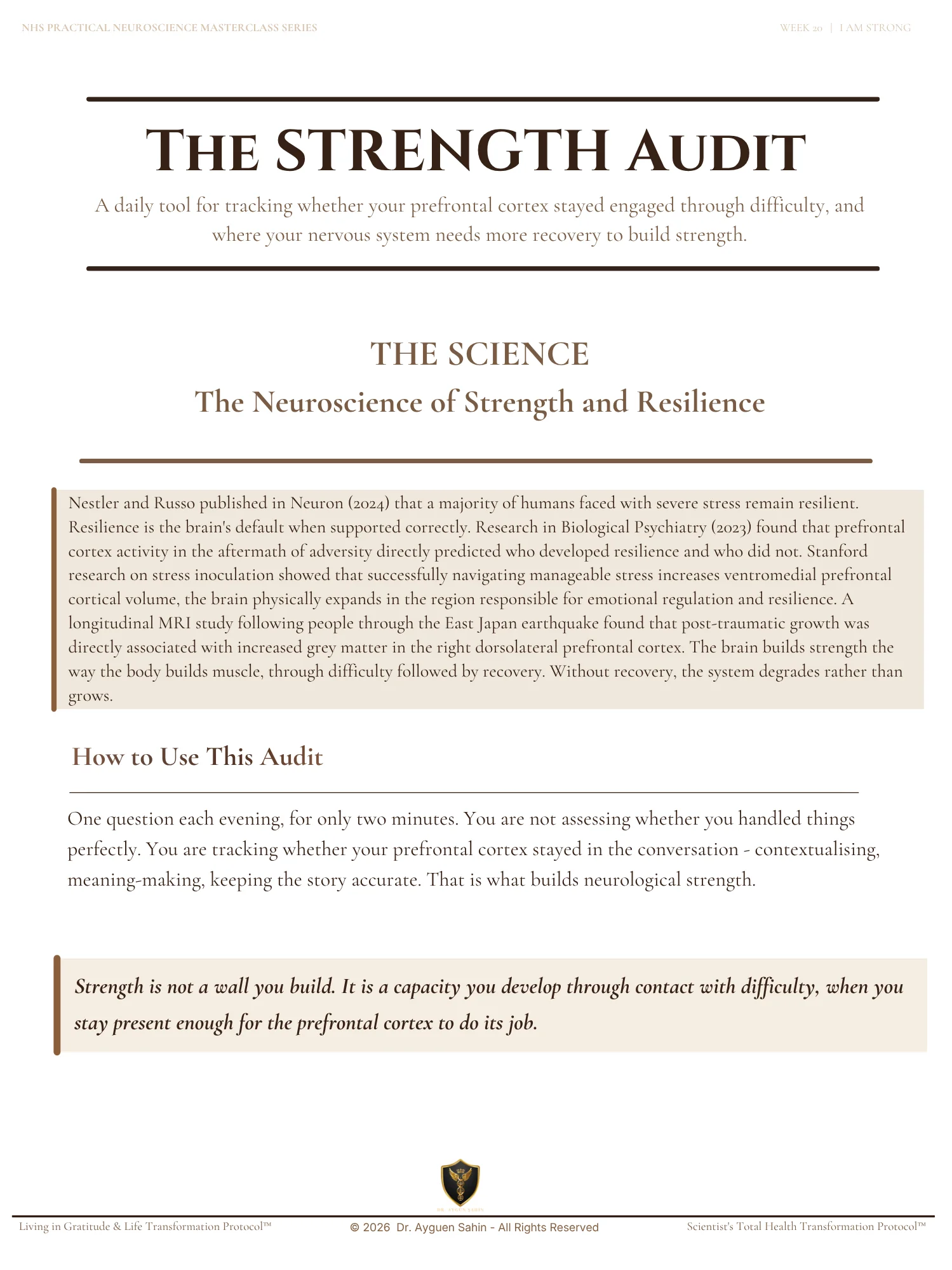 THE STRENGTH AUDIT product image (2)