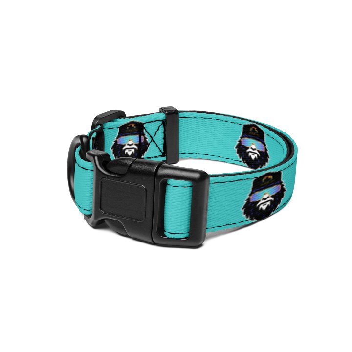 Destination Bigfoot Bronco Monogram Bigfoot Logo Dog Collar (Dark Turquoise) product image (1)