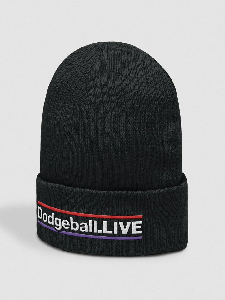Dodgeball.LIVE HZ Knitted Toque (Light) product image (2)