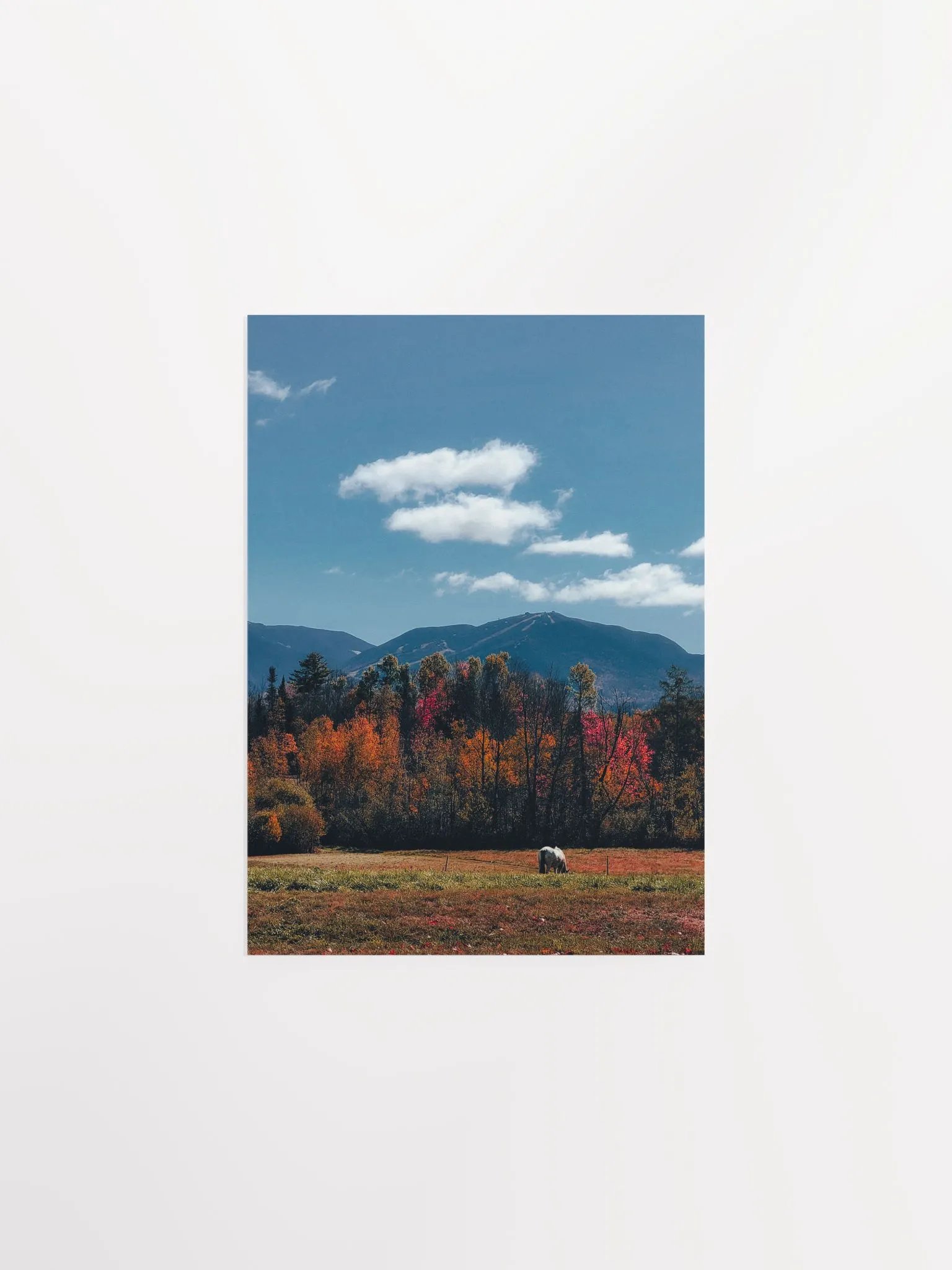 White Mountain Horse product image (1)