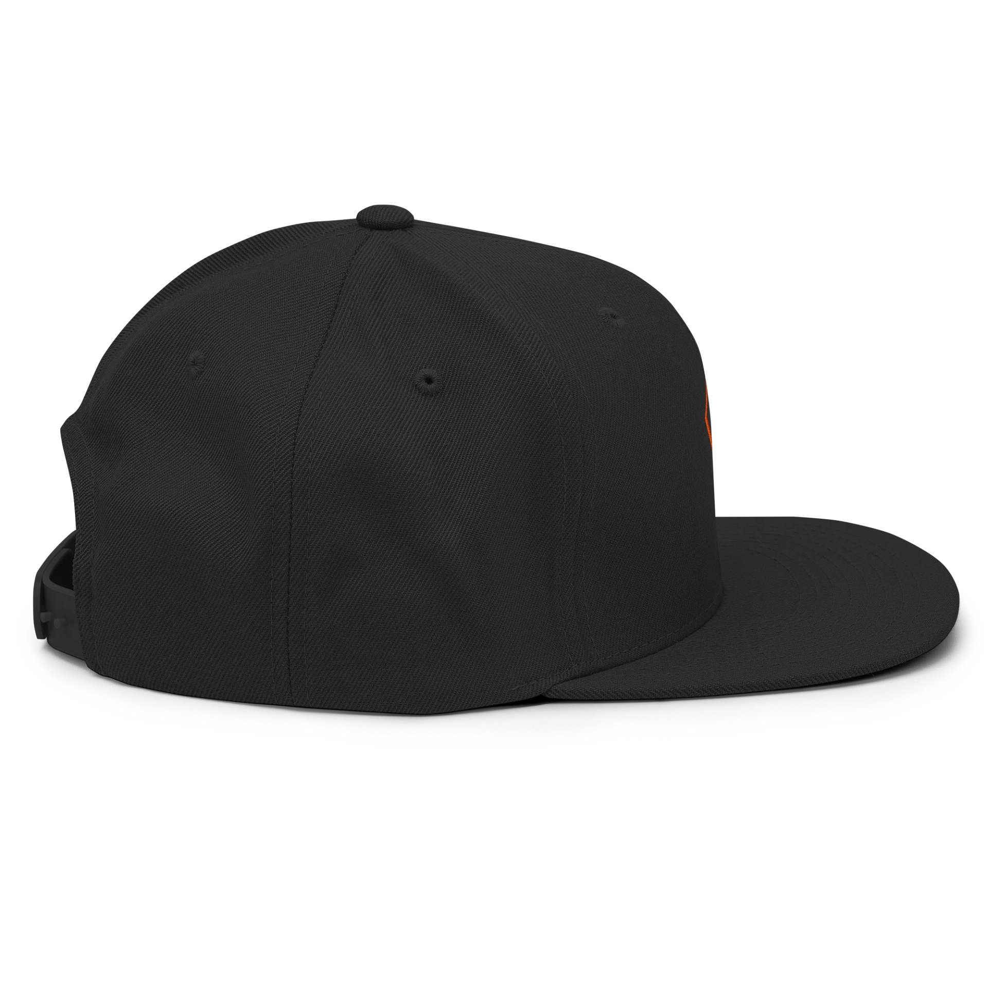 Logo SnapBack product image (6)