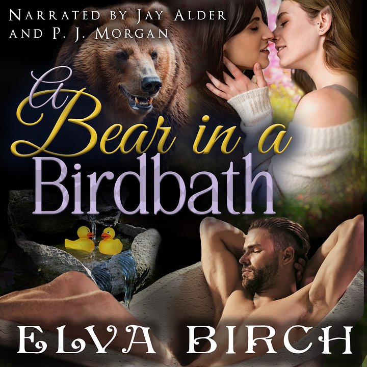 A Bear in a Birdbath - audiobook product image (1)