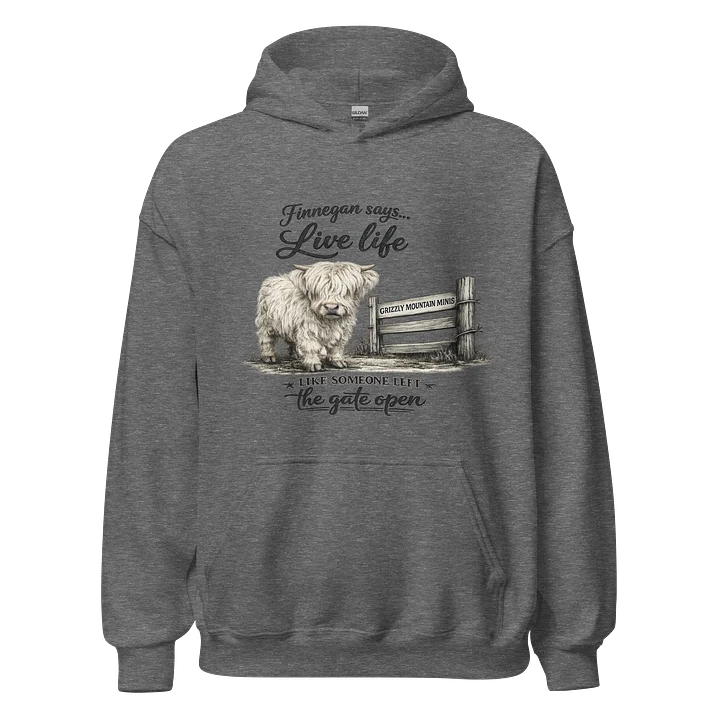 Finnegan Says… Highland Cow Classic Hoodie product image (1)