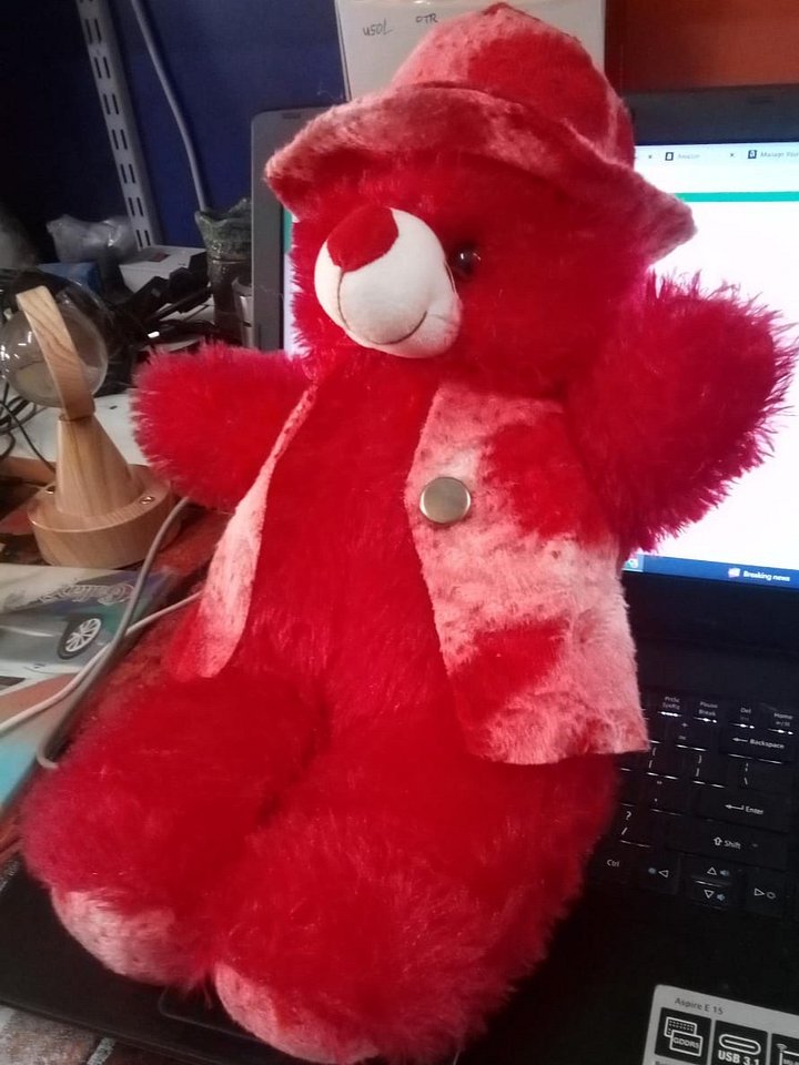 TEDDY BEAR product image (2)