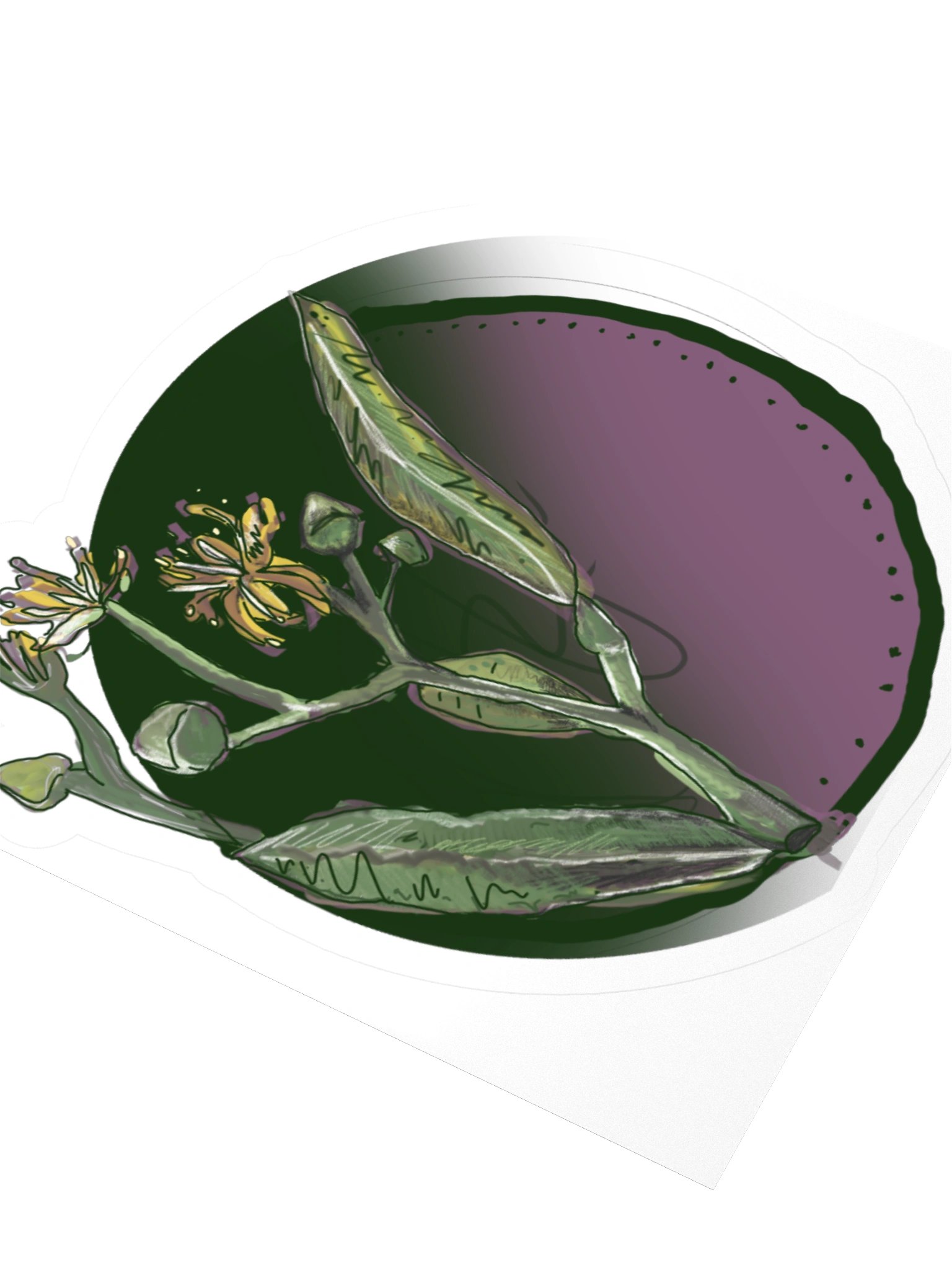 The Linden Blossom, Botanical Flower Sticker (3 inch vinyl) product image (3)
